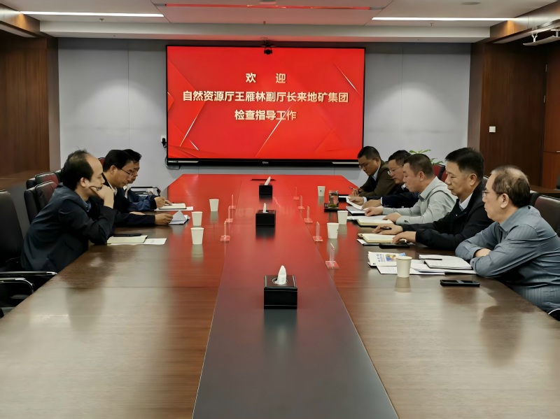 省自然資源廳副廳長王雁林一行 來陜西地礦集團(tuán)檢查指導(dǎo)工作